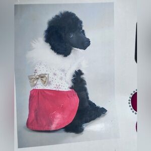 New Paw Appeal Puppy Dog Fashion Snowflake Princess Christmas Dress Red White M